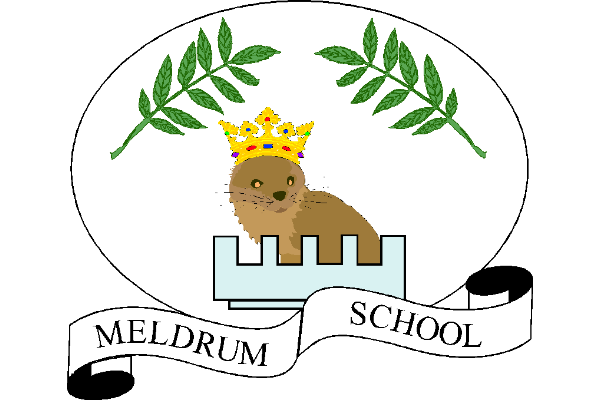 Meldrum Primary School 