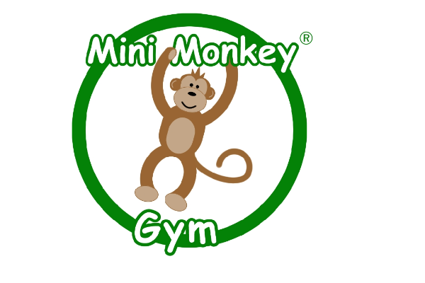 Mini Monkey Gym slide 2