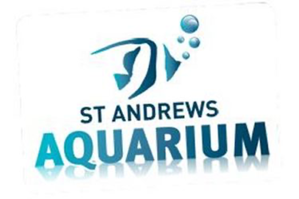 St Andrews Aquarium slide 1