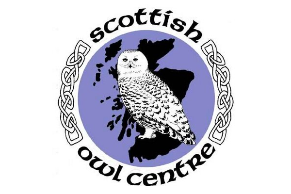 Scottish Owl Centre at Polkemment Country Park slide 1