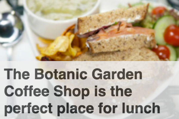 Botanic Garden Coffee Shop slide 1