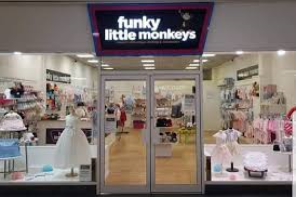 Funky Little Monkeys slide 3