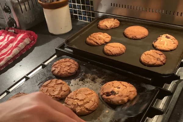 OATMEAL RAISIN COOKIE DOUGH